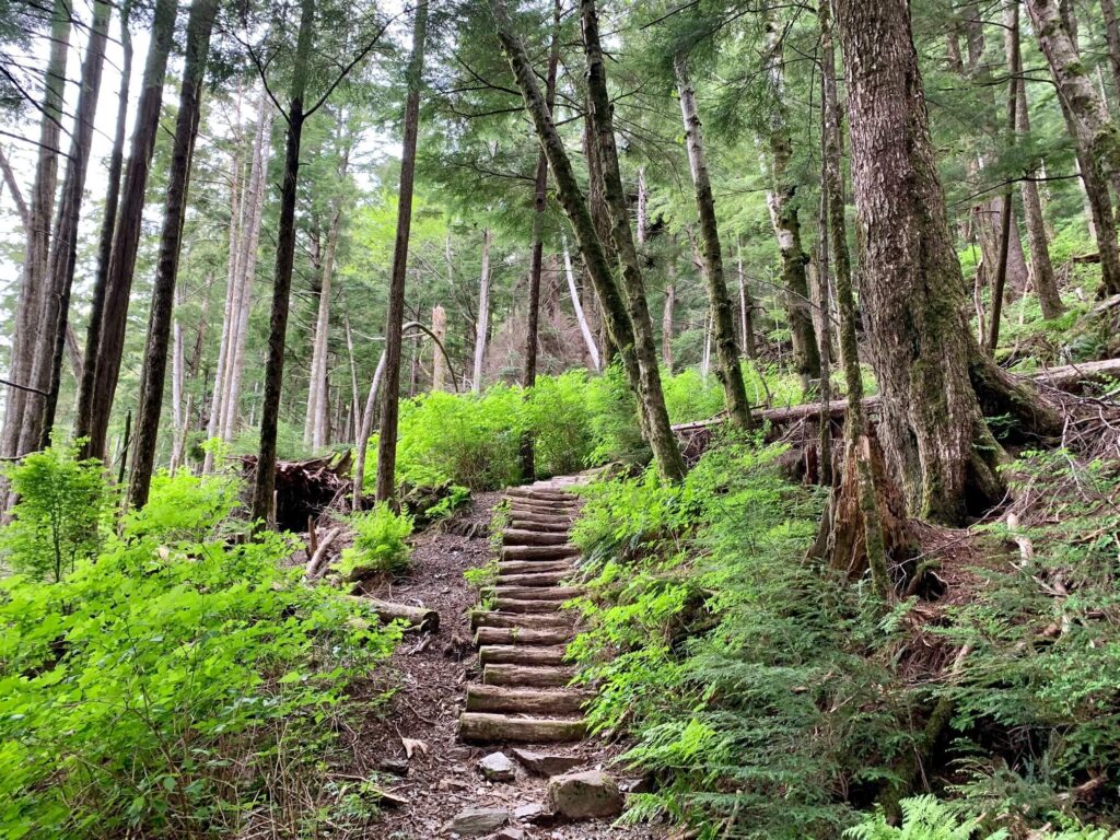 Top free things to do Ketchikan Alaska - Rainbird Trail -