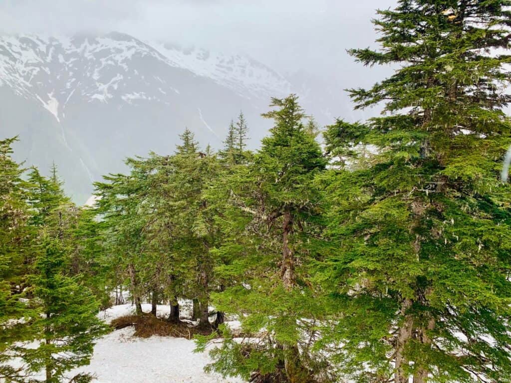 what to do in juneau on your own