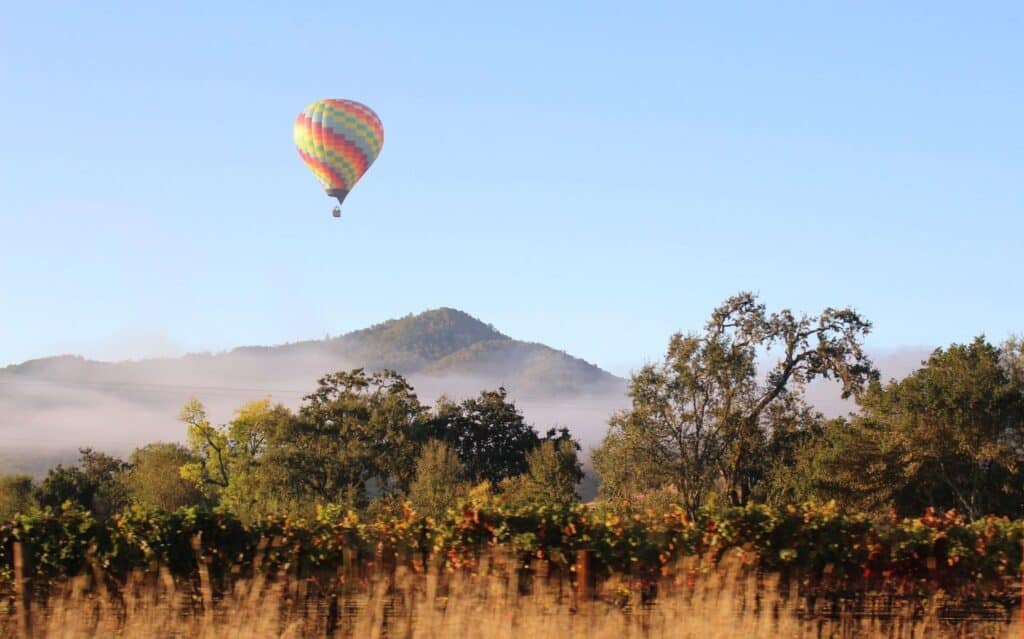 it's fun to sip wine and fly over vineyard in California