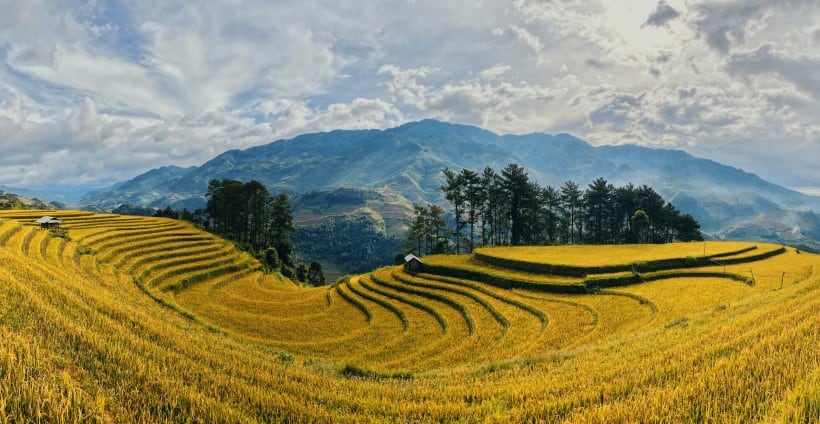 Best time to Visit Vietnam - Weather isn't Everything to Consider