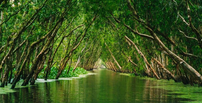 Best-time-to-visit-Vietnam-Mekong-Delta