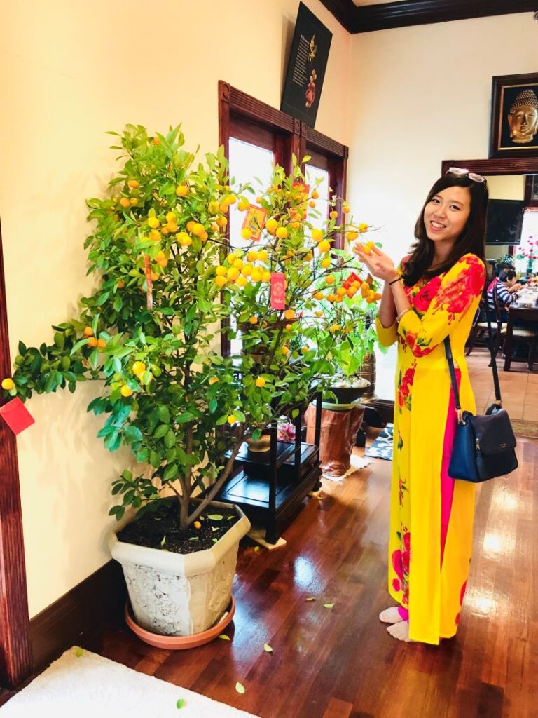 Vietnamese New Year Tree